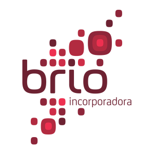 brio-logo